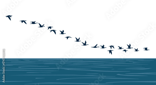 Flock of birds flying above water against white sky in vector illustration