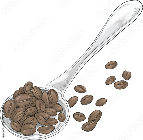 coffee roasted on spoon color sketch illustration