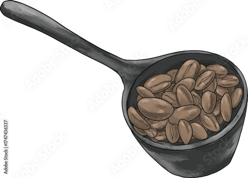 coffee roasted scoop color sketch illustration