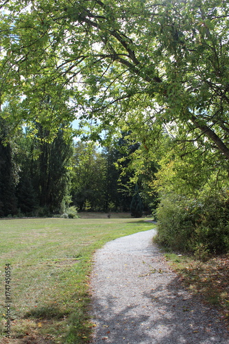 Gravel walk path under a tree canopy in the open field