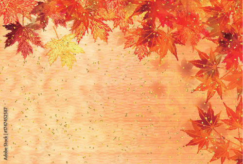 紅葉　もみじ　秋　背景	
