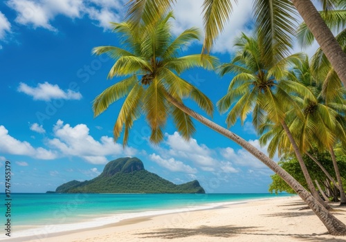 Tropical beach paradise with palm trees and island isolated on white background