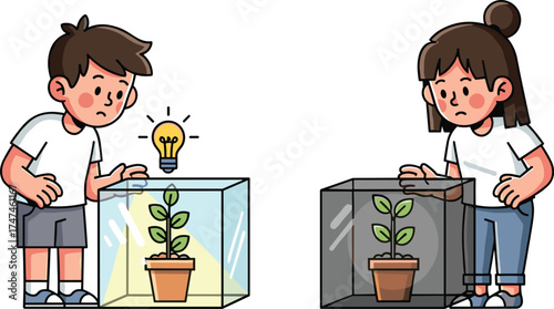 Children observing plant growth, light experiment, photosynthesis activity, science comparison, classroom STEM, hands-on learning, biology education, indoor plant study