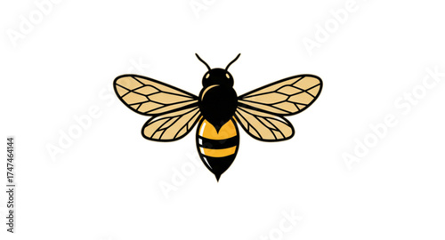 Bee vector