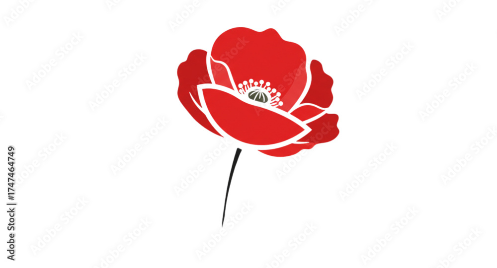 Foto red poppy flower