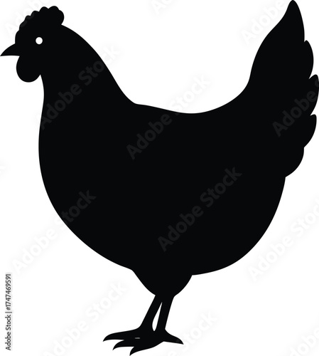 Black Silhouette of a Chicken on White Background Keywords: chicken, hen, bird, fowl, poultry, silhouette