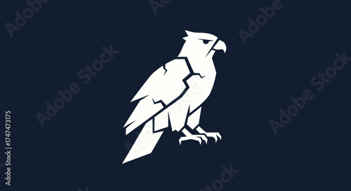 White eagle emblem, seated against a dark background. Can be used as a logo for security, sports, or aviation