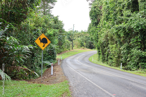 Cassowary Crossing sign next to a road winding through a lush green rainforest