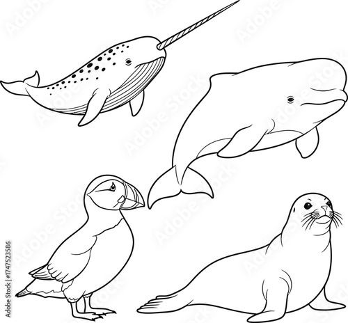 Vector art of arctic animals in line style 