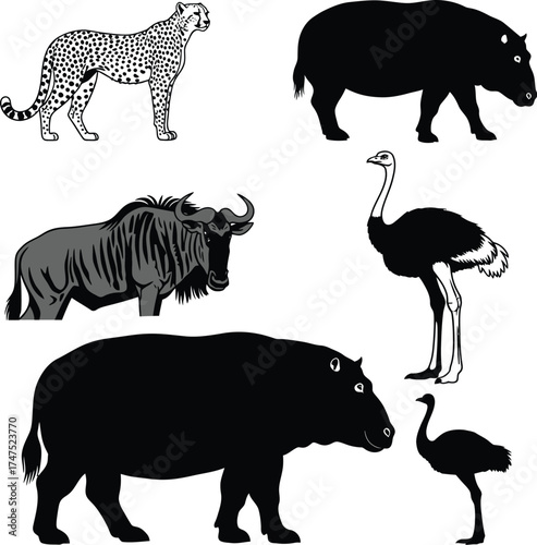 Vector art of wildlife animals