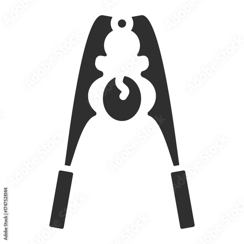 Crack Nuts Icon Single Vector Collection 