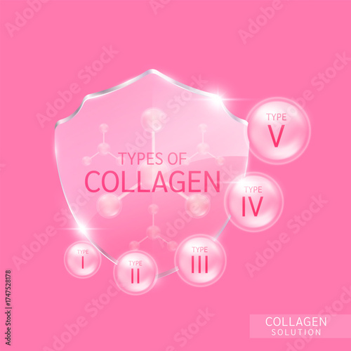 Collagen solution molecules pink in translucent glass shield. The five most common types of collagen protein. Main protein created connective tissues, cartilage, nail, skin and hair. Vector.