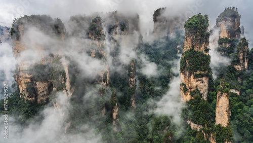 Beautiful mystical mountain landscape. The high sheer rocks pillars    are shrouded in fog. Peaks in the clouds. Green vegetation. China. Zhangjiajie National Forest Park. Avatar