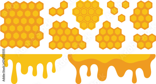 Honeycomb Sweet Drip Honeycomb Structure Food Production Beekeeping Product