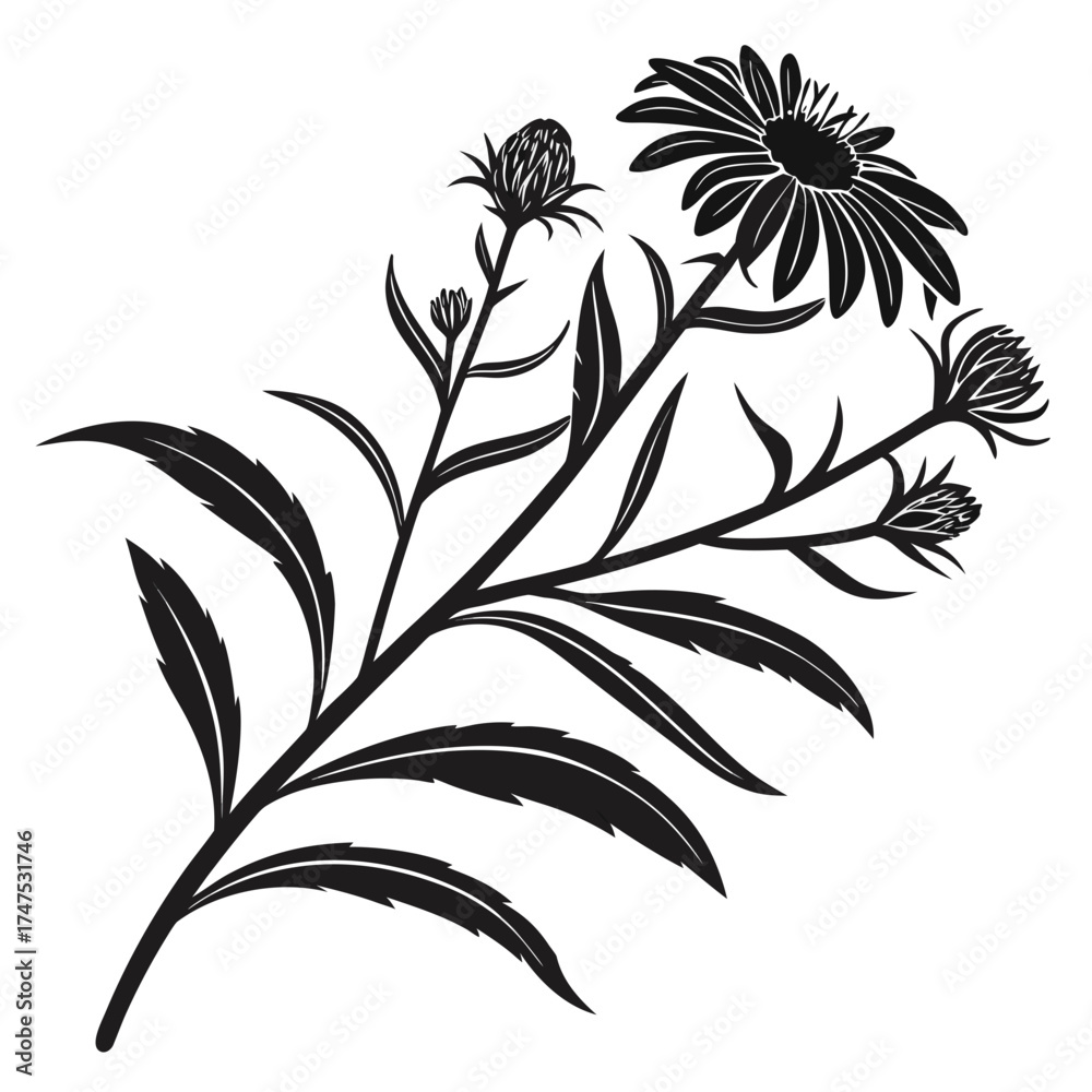 Naklejka premium Black silhouette of a branch with asters and buds on a white background