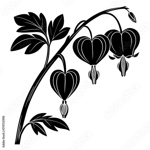 Minimalist white line art of bleeding hearts and grass on black