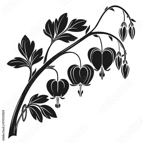 Bleeding heart flower branch silhouette with leaves