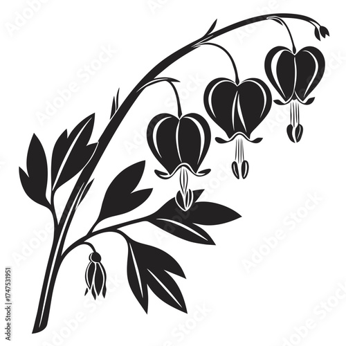 Stylized black and white bleeding heart flower branch silhouette