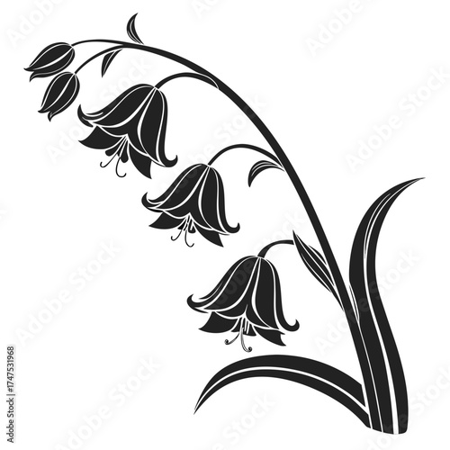Stylized dark silhouette of bluebell flowers on black background