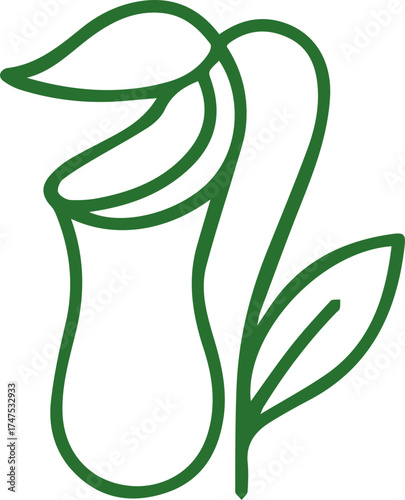 Graceful green line art of a fascinating pitcher plant an organic and vibrant illustration