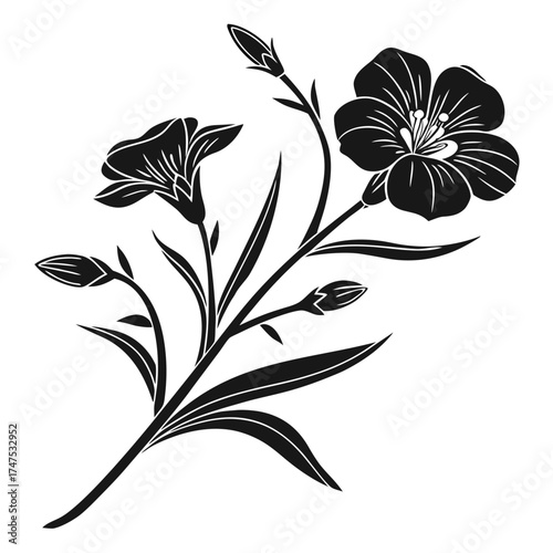 Elegant black and white illustration of flax flowers and buds