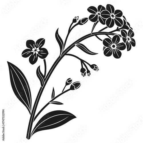 Black and white silhouette of forget me not flowers and buds