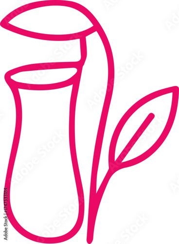 Vibrant pink pitcher plant line art illustration on a clean white background a carnivorous botanical design