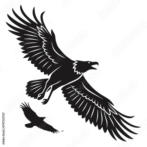 Two birds of prey soaring in the night sky