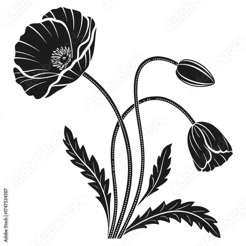 Elegant black and white poppy illustration with buds and leaves