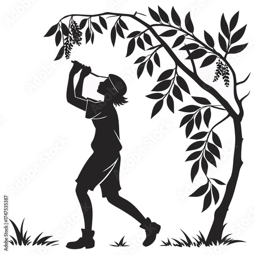 Child reaching for flowers under a tree branch