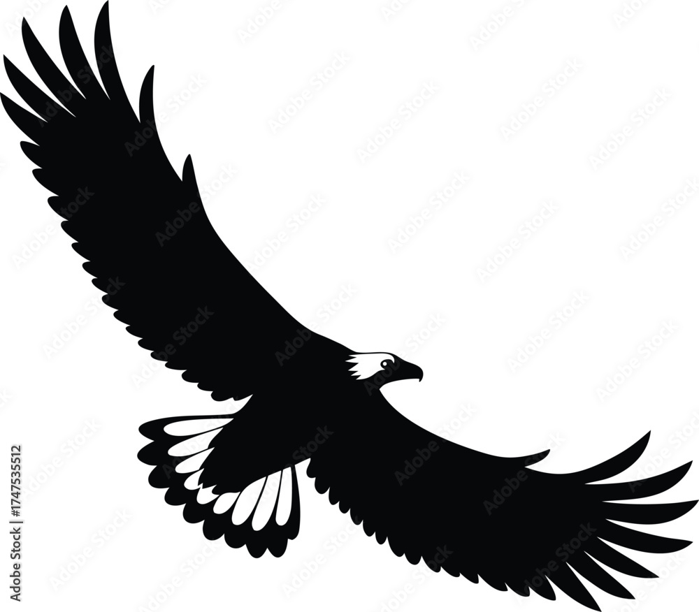 Obraz premium flying bald eagle vector illustration