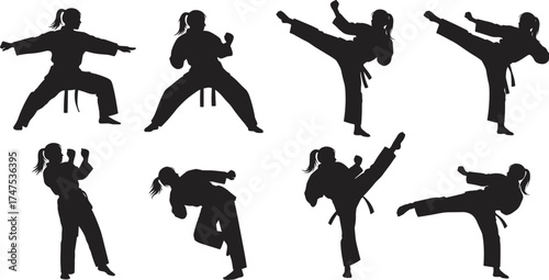 Martial arts silhouette poses, black and white vector, karate kick stance, traditional uniform illustration, combat training movement, discipline and strength artwork