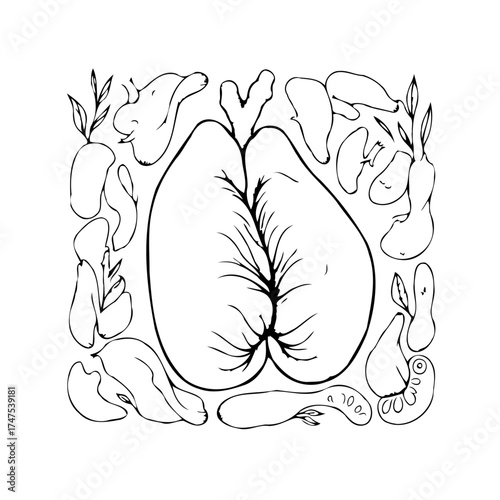 Abstract plant pod illustration with decorative floral elements a conceptual botanical drawing for