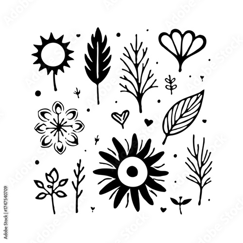 Botanical doodle compilation displaying assorted floral foliage accents offering simplistic modern