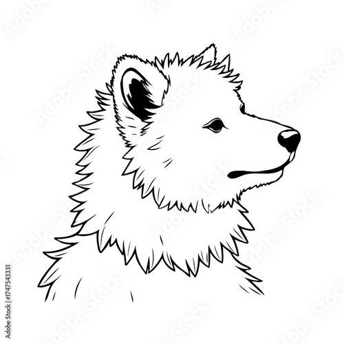 Detailed monochrome canine head illustration a solitary animalistic sketch for creative projects