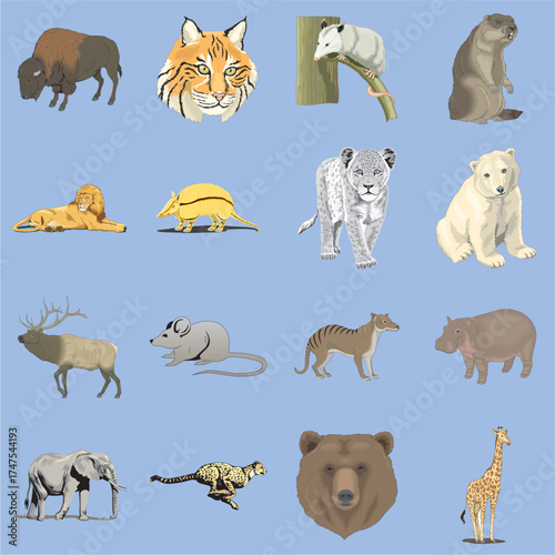 Photography wild animals set