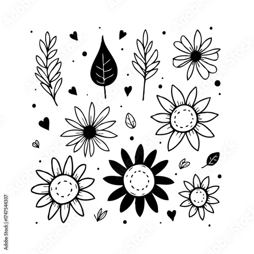 Elegant floral elements collection showcases simplicity and charm in botanical designs ideal for