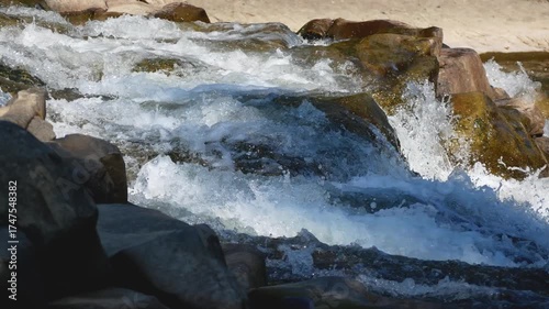 Wallpaper Mural Mountain river close-up. Swift water with foam flows through the stones, sparkles in the sun. Fast mountain river in the wild. Concept of natural purity, wilderness, and mountain landscape. Perfect Torontodigital.ca