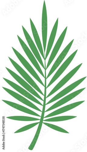 palm leaf vector icon, Gulf decorative element,