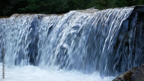 Wallpaper Mural Swift mountain river with rapids and a mini-waterfall, forest in the background. Clear water cascades from a small height and sparkles in the sunlight. Concept of natural beauty, wilderness and pure Torontodigital.ca