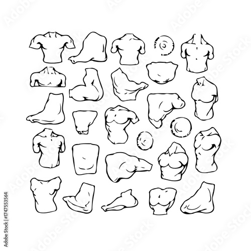 Fragmented antique statuary assemblage a visual exploration of broken classical forms arranged in