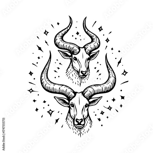 Ink drawing of majestic kudu antelope heads with ethereal sparkling elements showing connection