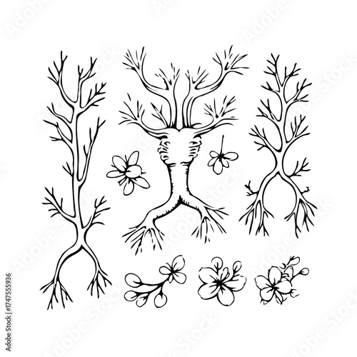 Intricate botanical ink drawings creating a delicate nature inspired artwork featuring abstract