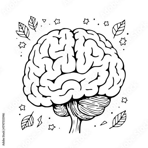 Intricate brain illustration with surrounding star and leaf designs emphasizes cognitive processes