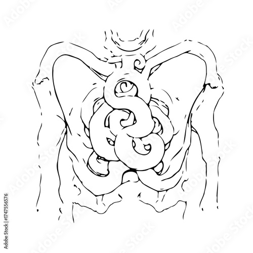 Linear conceptualization presents an anatomical torso intertwined intricate spirals embodying
