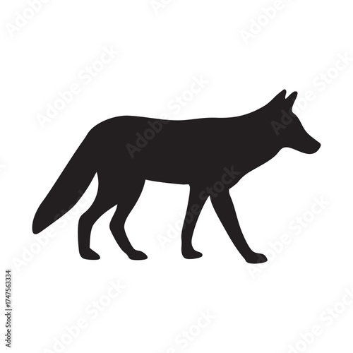 Silhouette of a walking coyote