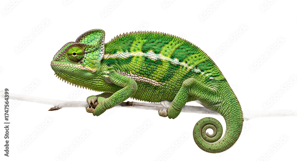 Obraz premium Elegant Desk Lamp in Minimalist Interior Design Setting