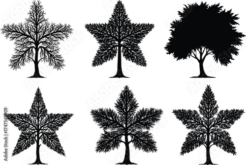 Collection of different pine tree silhouettes, black fir and spruce tree vector set, evergreen conifer forest design elements, nature illustration art