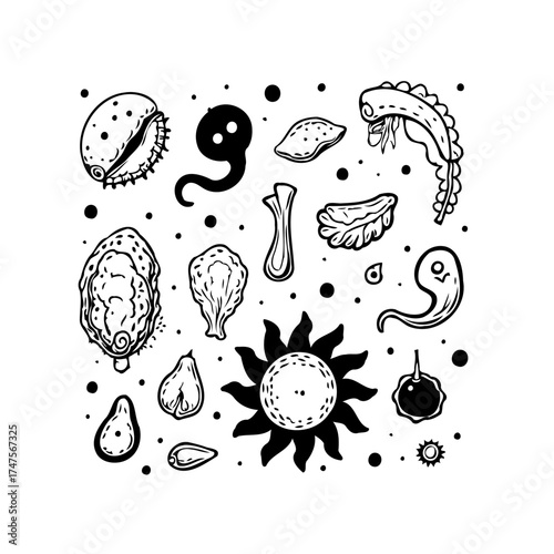 Whimsical collection of black and white doodles evokes a fantastical underwater world with quirky