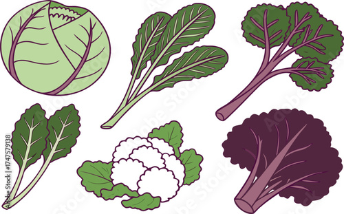 A vibrant set of fresh vegetables and fruit with a seamless floral pattern design